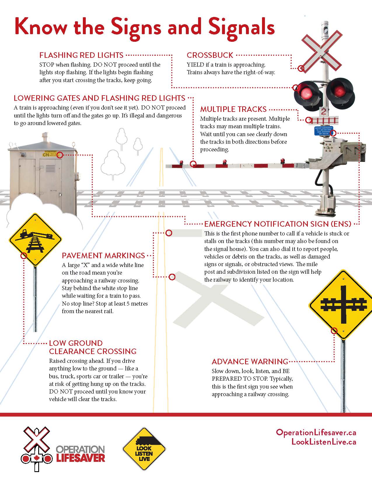 Know the Signs and Signals Portrait EN