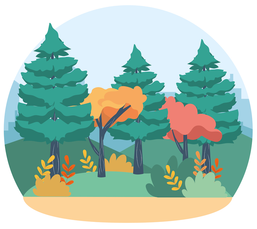 forest graphic